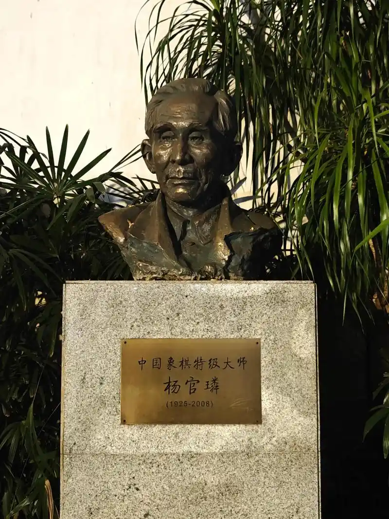 展现杨官璘宗师儒雅、沉稳的半身画像，目光深邃，透露着一代国手的风采